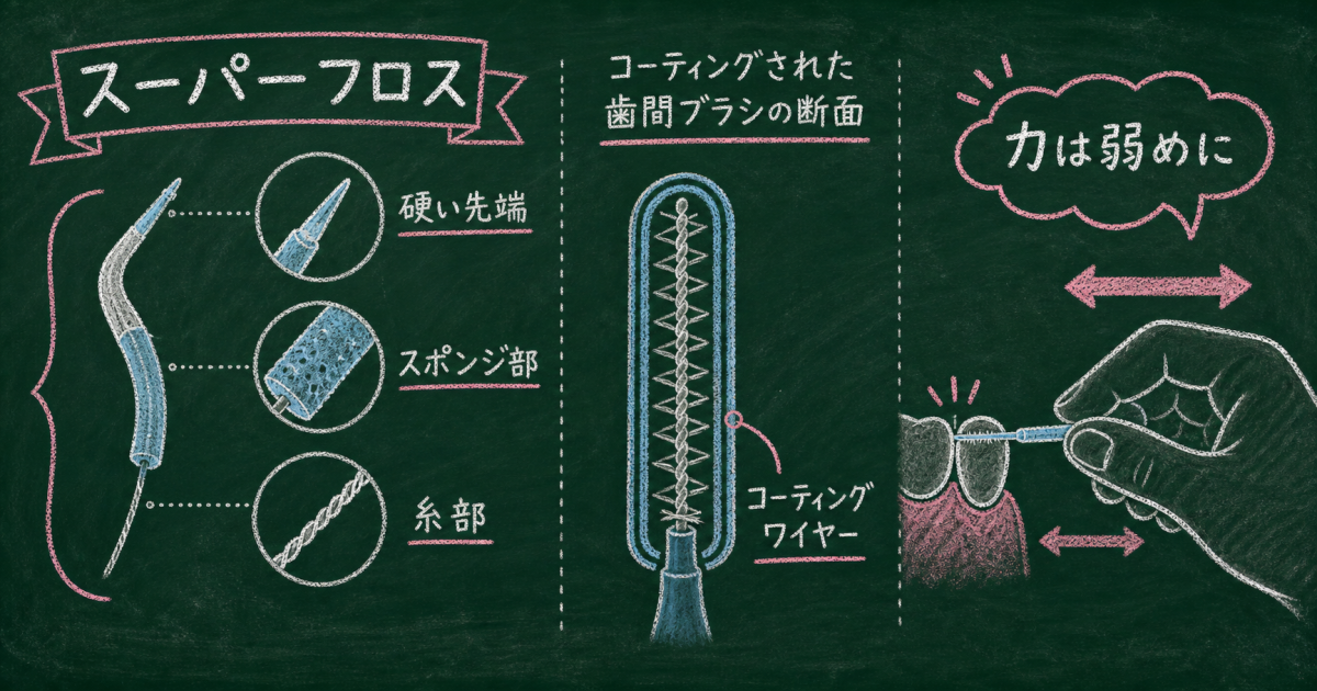 天然歯と何が違う？人工歯根周囲の構造と丁寧なセルフケアが必要な理由