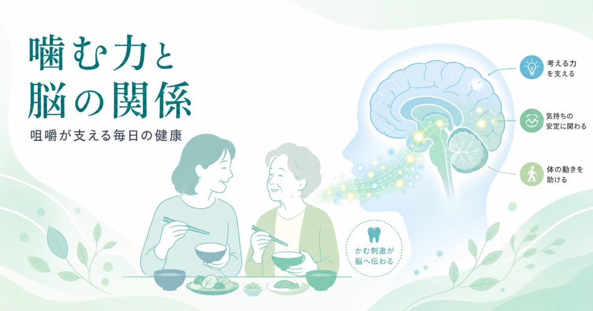 噛む力で認知症予防？咀嚼と脳の関係や噛み合わせ維持のポイント