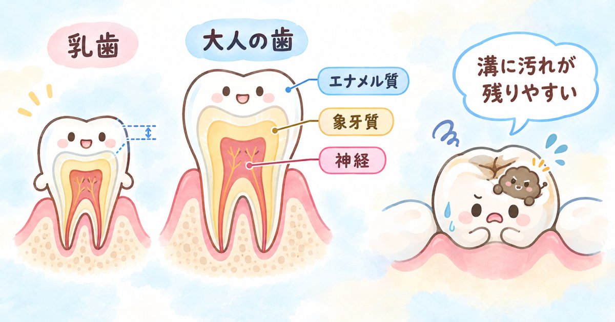 子どもの歯がむし歯になりやすい理由は?