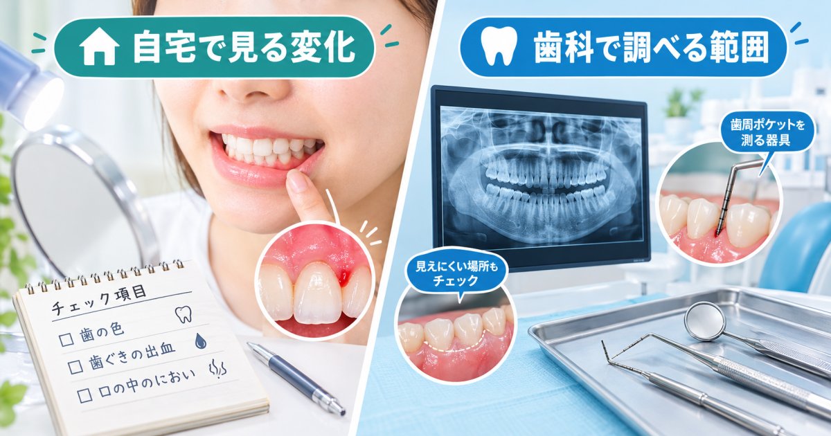 自分でできる歯のセルフチェック方法と歯科の健康診断でしかわからない部分