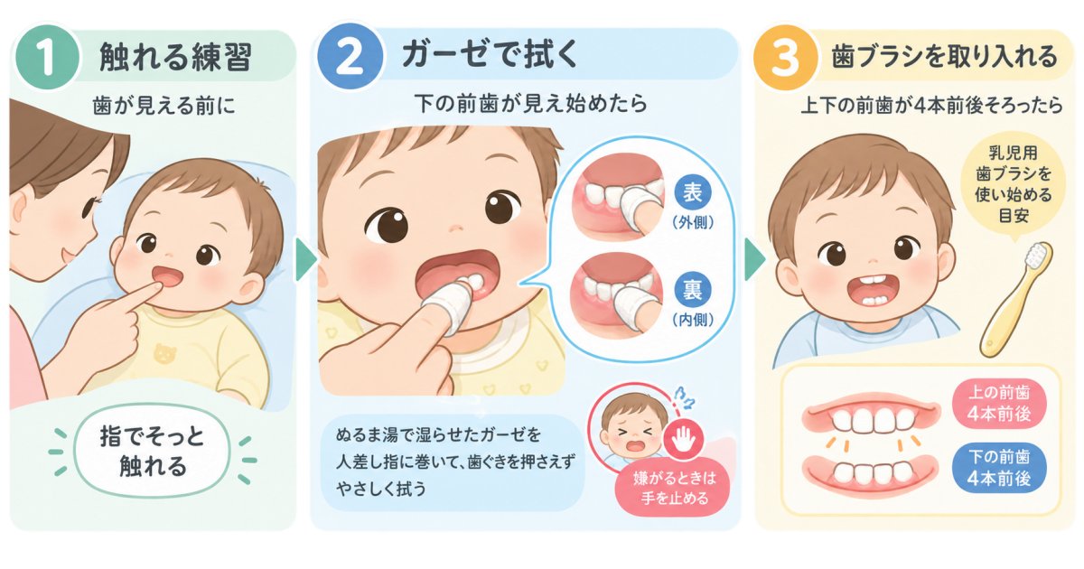 赤ちゃんの歯磨きはいつからガーゼを使うのか、歯が生え始める時期の拭き方