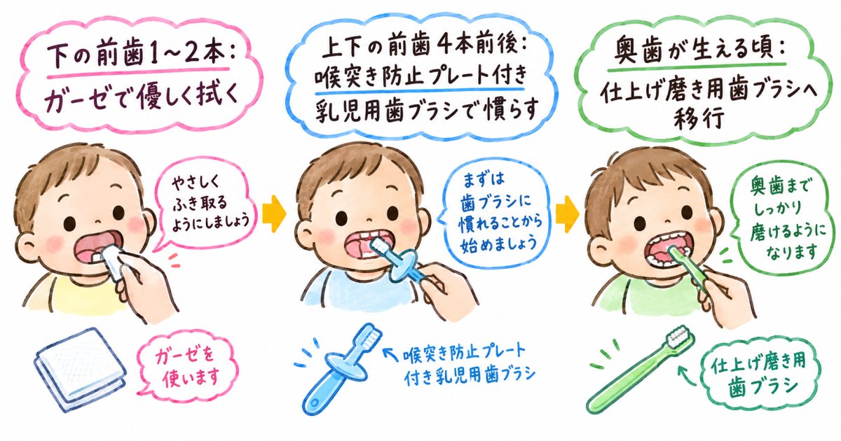 ガーゼと乳児用歯ブラシの違い、切り替える目安と歯科に相談したいタイミング